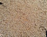 તલ ની ચીક્કી (Til Chikki Recipe In Gujarati) રેસીપી સ્ટેપ6ફોટો