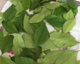 Foto del paso 2 de la receta: Paparajotes a la murciana