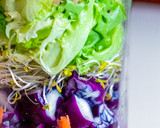 Foto del paso 4 de la receta: Ensalada vertical con tofu, alfalfa, salsa de soja y sésamo 🥗