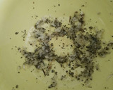Foto del paso 6 de la receta: Boniato relleno con lentejas