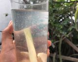Foto langkah ke 2 dari resep Minuman ultimate sederhana.