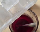 Foto del paso 4 de la receta: Tereré de hibisco endulzado con glicina 🌺 Infusión fresca antinflamatoria de yerba mate e hibiscus