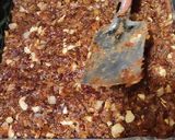 खजूर ड्राईफ्रूट बर्फी (khajur dry fruits barfi recipe in Hindi) रेसिपी चरण 6 फोटो