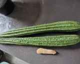 A picture of step 1 of Gourd with Fancee.