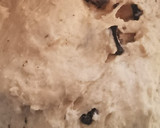 Foto del paso 8 de la receta: Focaccia