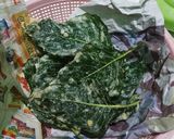 Foto langkah ke 4 dari resep Keripik bayam.