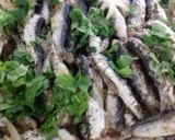 Φωτογραφία βήματος 6 της συνταγής Σαρδέλες φούρνου με λαδορίγανη και κρεμμύδια