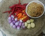 Foto langkah ke 1 dari resep Sambal rebon.