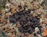 Foto langkah ke 6 dari resep Oat Raisin Cookies.