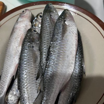 Langkah 2