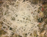 Foto del paso 2 de la receta: Tarta de zapallito 2 versiones (Mv)