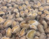 รูปขั้นตอนการทำที่ 13 ของ Natto นัตโตะ (ถั่วเน่าญี่ปุ่น)