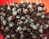 Foto del paso 1 de la receta: Mermelada de endrinas o arañones y moras