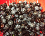 Foto del paso 1 de la receta: Mermelada de endrinas o arañones y moras