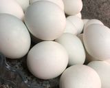 Foto del paso 2 de la receta: Huevos duros decorados 🐣 Huevos de Pascua 🐰