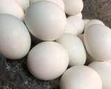 Foto del paso 2 de la receta: Huevos duros decorados 🐣 Huevos de Pascua 🐰