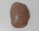 Foto langkah ke 7 dari resep Orange Peel Double Choco Sourdough Bread 72% (Open Bake Method).