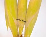 A picture of step 1 of Spicy lemon corn on the cob🌽اسپاٸسی لیمن کارن🌽.