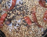 A picture of step 1 of Karhae dahi bara masala.