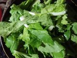 Thịt bò kho dứa cải thìa