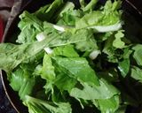 Hình bước làm 4 của món Thịt bò kho dứa cải thìa