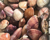 Foto del paso 2 de la receta: Fabas con Almejas