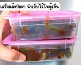 รูปขั้นตอนการทำที่ 13 ของ กิมจิกระเจี๊ยบเขียว