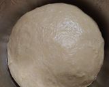 Foto langkah ke 4 dari resep Donut teknik autolisis.