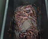 Foto del paso 1 de la receta: Cebolla 🧅 caramelizada en Panificadora Lidl