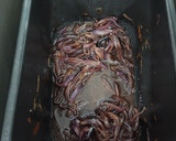 Foto del paso 1 de la receta: Cebolla 🧅 caramelizada en Panificadora Lidl