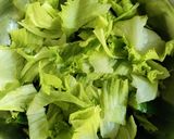 લેટસ એન્ડ ગ્રેપ્સ સલાડ (Lettuce and Grapes Salad Recipe In Gujarati) રેસીપી સ્ટેપ1ફોટો