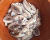 Foto del paso 1 de la receta: Calamaritos plancha estilo torre del mar