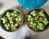 Foto langkah ke 6 dari resep Bolu Kukus Pandan Coklat.