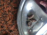 कटहल की सब्जी (Kathal Sabzi Recipe in Hindi)