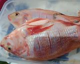 Foto langkah ke 1 dari resep Ikan Nila Goreng Marinasi Ala Chef Rudy Choirudin.