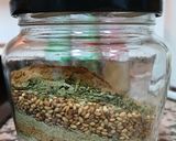 Foto del paso 3 de la receta: Mezcla de Especias Palestinas (Za' atar)
