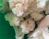 Foto del paso 1 de la receta: Alitas de coliflor (Vegan)