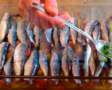 Foto del paso 3 de la receta: Sardinas en tartera