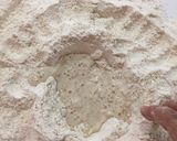 Foto del paso 4 de la receta: Pan rústico natural 🥖