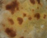Foto del paso 17 de la receta: Tarta de acelga con masa casero