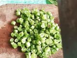 28. VEGETABLE FROZEN