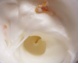 Foto del paso 2 de la receta: Bizcochuelo de naranja con azúcar Mascabo. ¡Muy fácil!