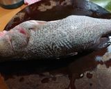 曇花魚湯的食譜步驟1照片