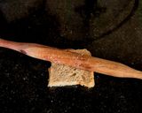 A picture of step 1 of Leftover Chicken Bread Pattie.