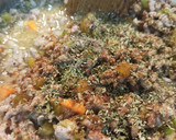 Foto del paso 4 de la receta: Pimientos rellenos de carne 🌶️🍖