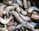 Foto langkah ke 1 dari resep Udang rebus manis.