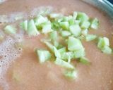 Foto del paso 6 de la receta Gazpacho ico ico