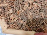 ［寵物零食］堅果捲餅乾