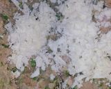 A picture of step 7 of Haray bharai chicken nuggets.