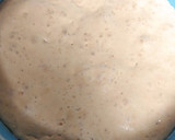 Foto del paso 3 de la receta: Ciabatta